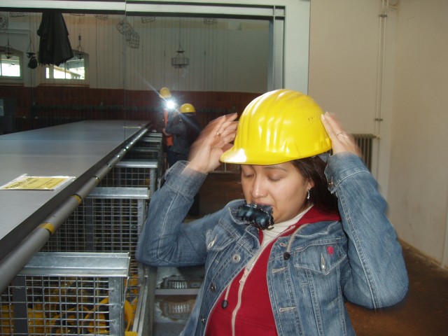 p1010011.jpg