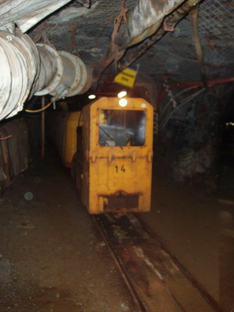p1010024.jpg