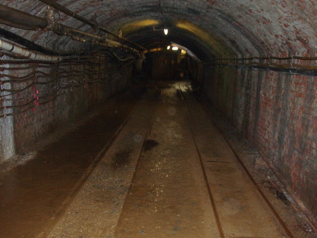 p1010027.jpg