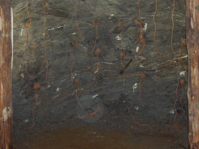 p1010035.jpg