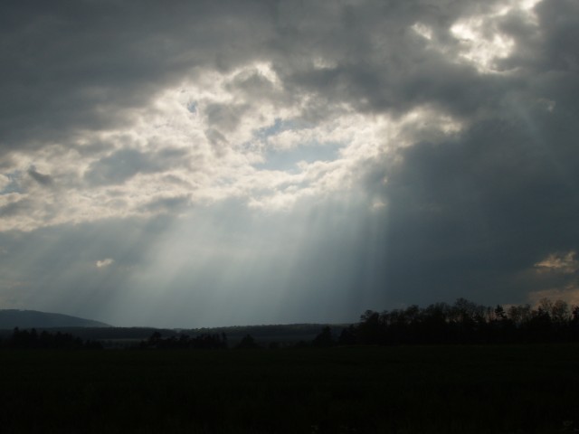 p1010067.jpg