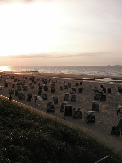 P1010100.JPG