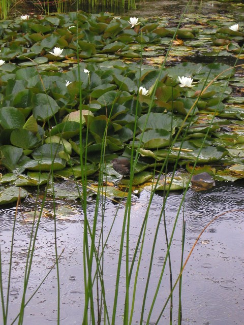 P1010102.JPG