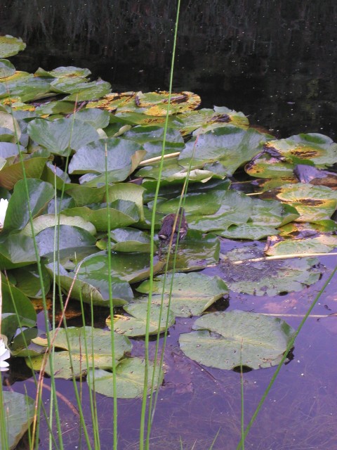 P1010103.JPG