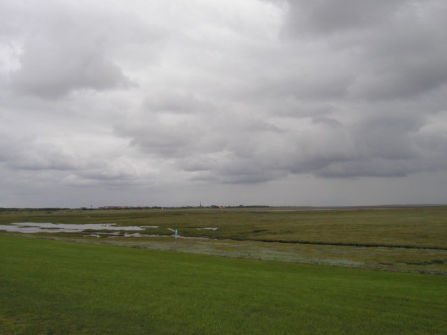 P1010106.JPG