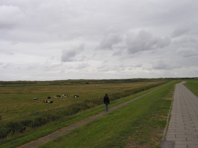P1010109.JPG