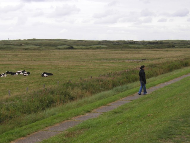 P1010110.JPG