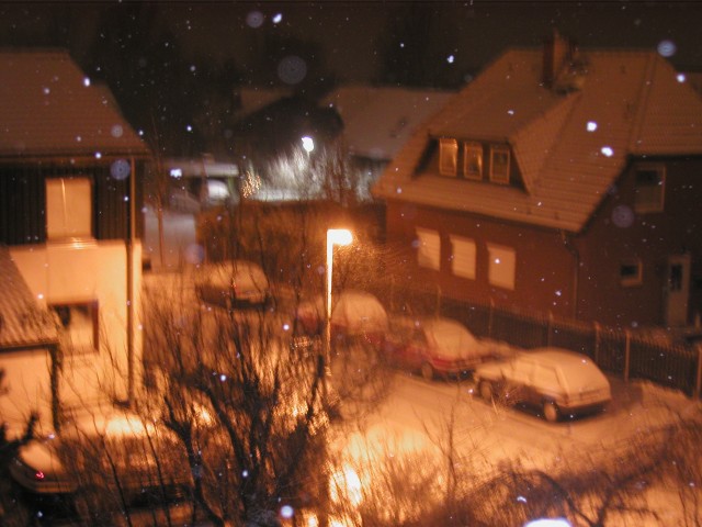 P1010118.JPG