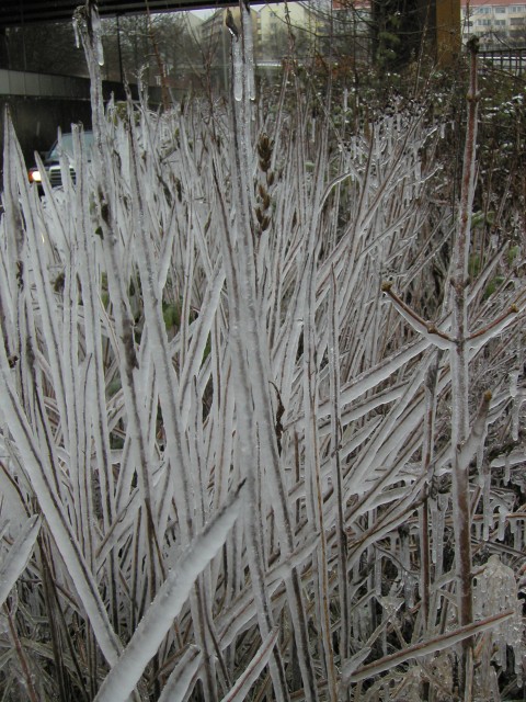 XP1010025.jpg