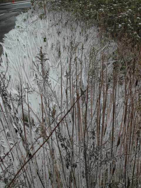 XP1010027.jpg