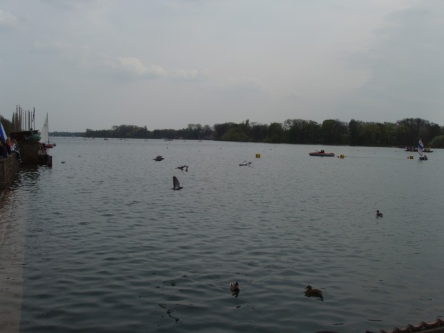 P1010236.JPG