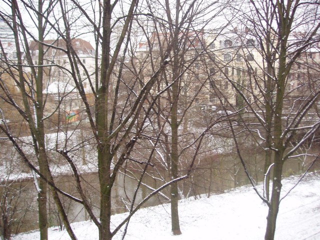 p1010353.jpg