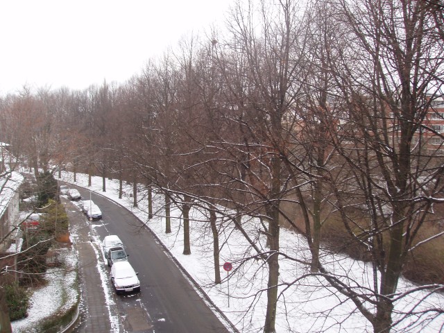p1010354.jpg