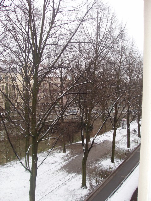 p1010355.jpg