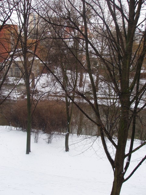 p1010374.jpg