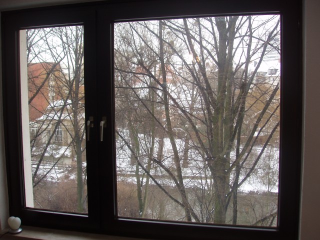 p1010375.jpg