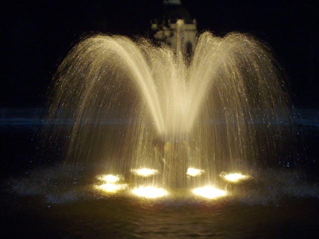 P1010110.JPG