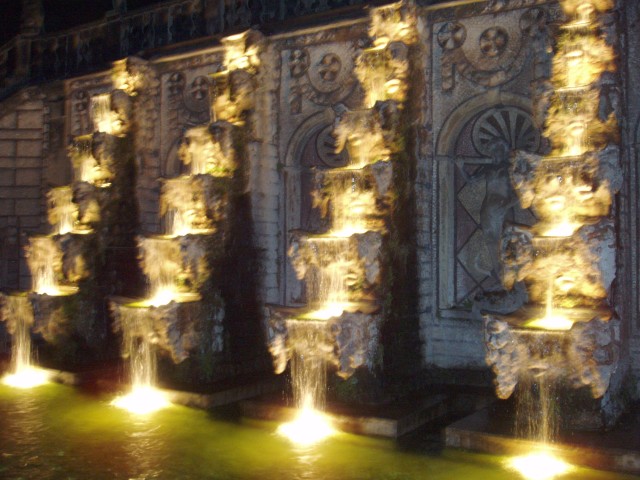 P1010130.JPG