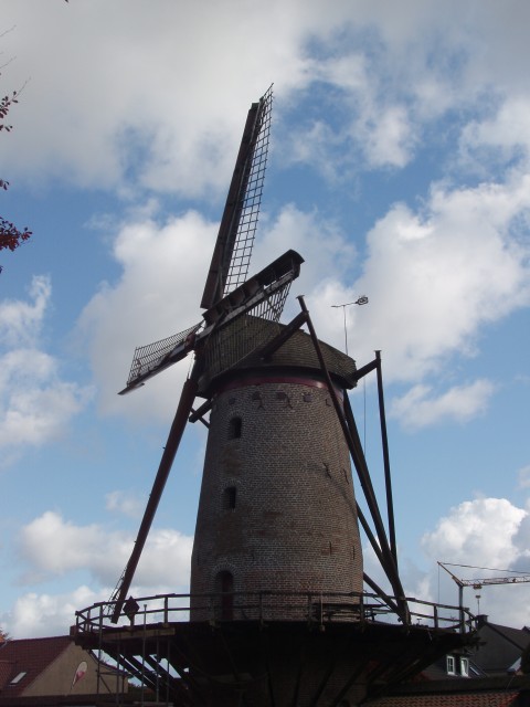 P1010293.JPG
