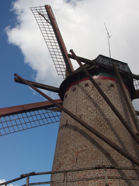 P1010294.JPG