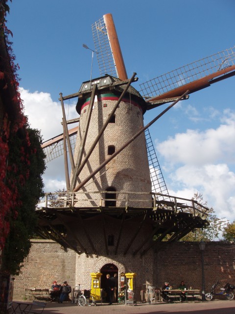 P1010295.JPG
