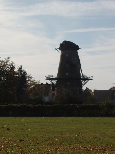 P1010381.JPG