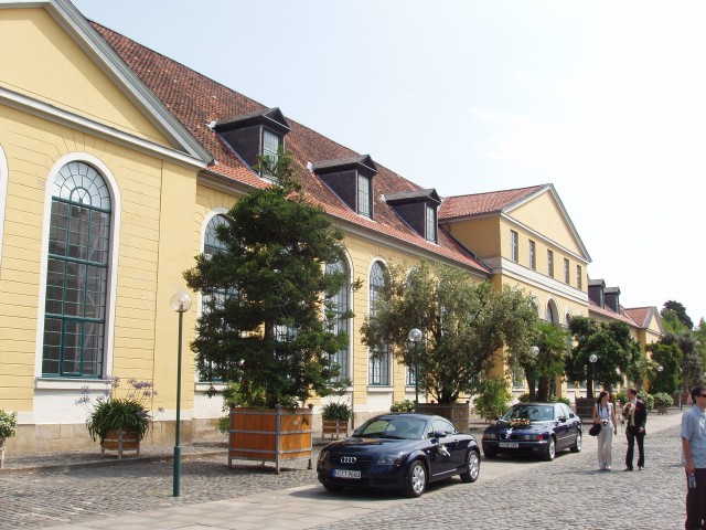 p5120336.jpg