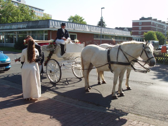 P1010043.JPG