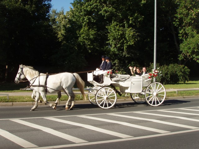 P1010055.JPG