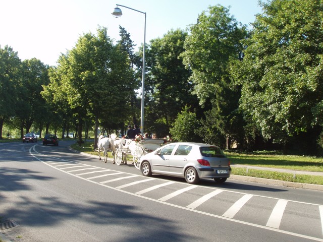 P1010056.JPG
