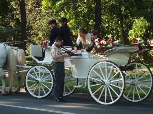 P1010057.JPG