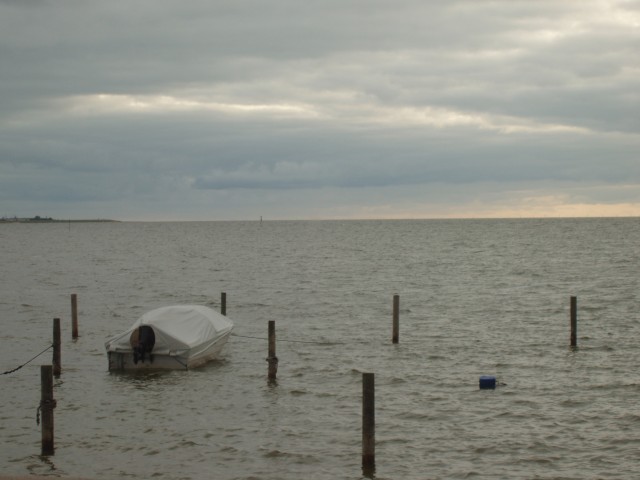 p1010092.jpg