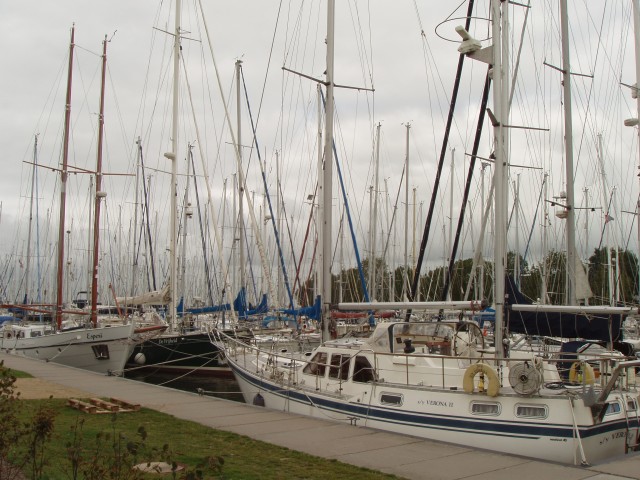 p1010149.jpg