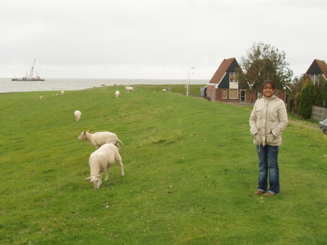 p1010183.jpg