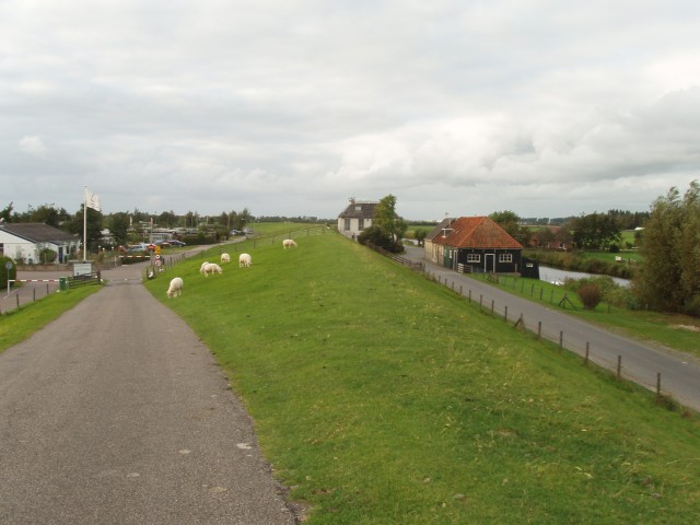 p1010198.jpg
