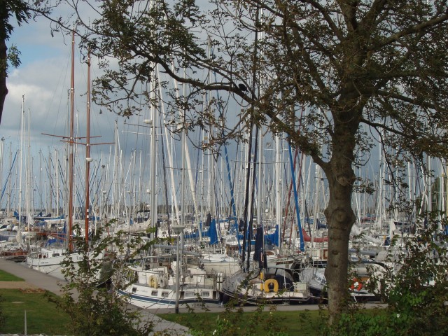 p1010112.jpg
