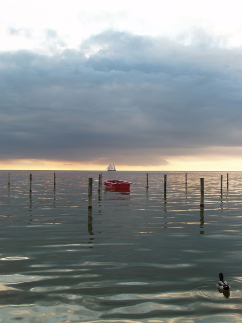 p1010127.jpg