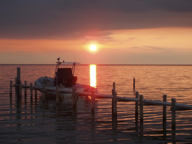 p1010153.jpg