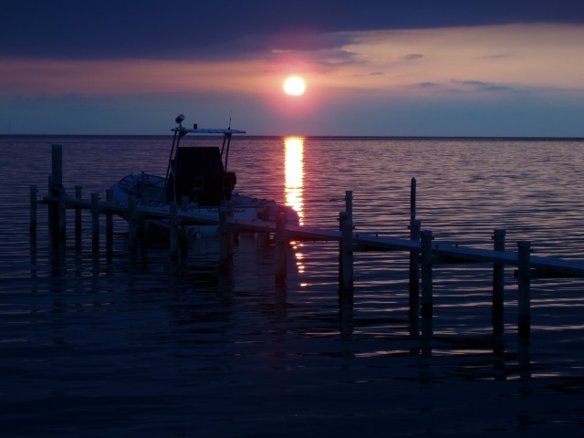 p1010154.jpg