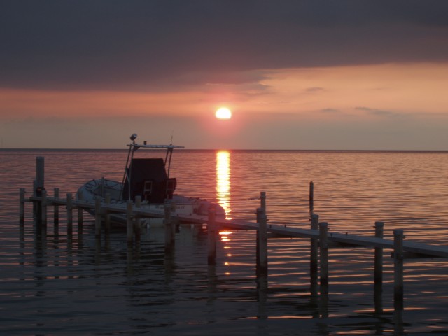 p1010157.jpg