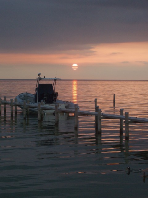 p1010163.jpg