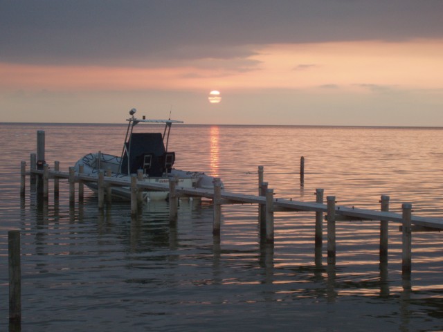 p1010164.jpg