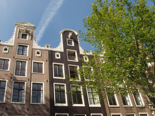 p1010245.jpg