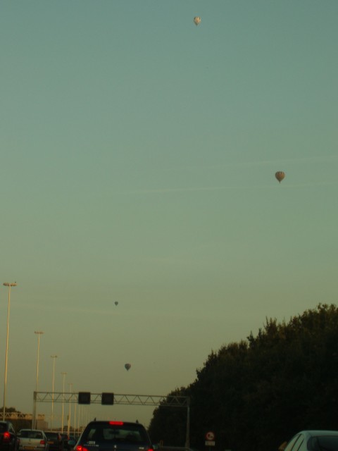 p1010266.jpg