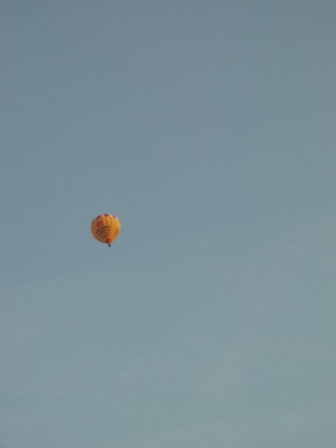 p1010267.jpg