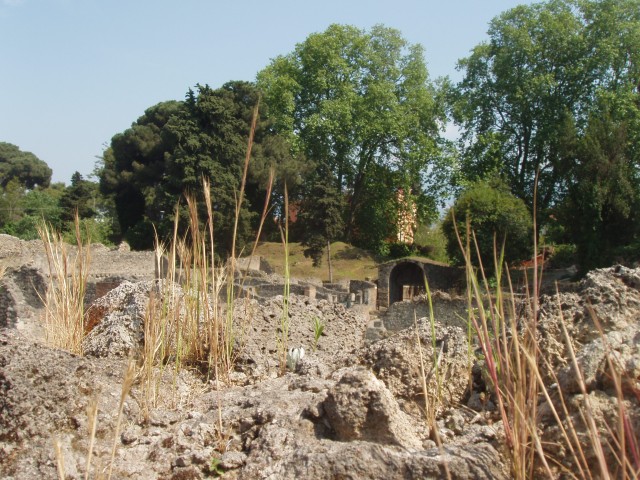 P1010188.JPG