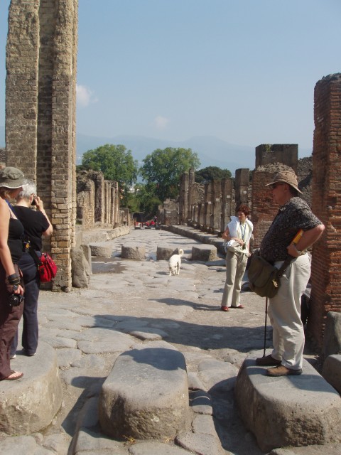 P1010200.JPG