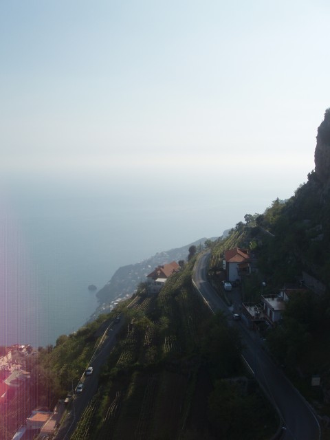P1010219.JPG