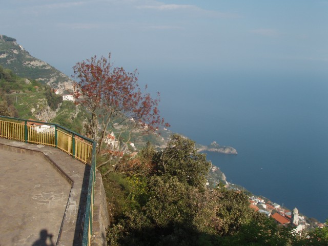 P1010222.JPG