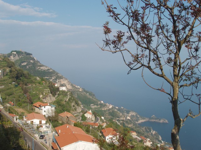 P1010226.JPG